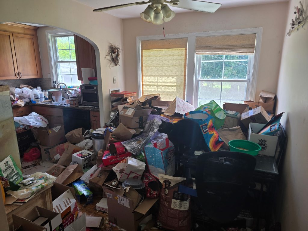 Hoarding Cleanout crew clearing clutter and accumulated items from a home