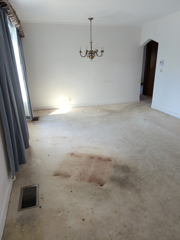 Carpet Removal hauling image