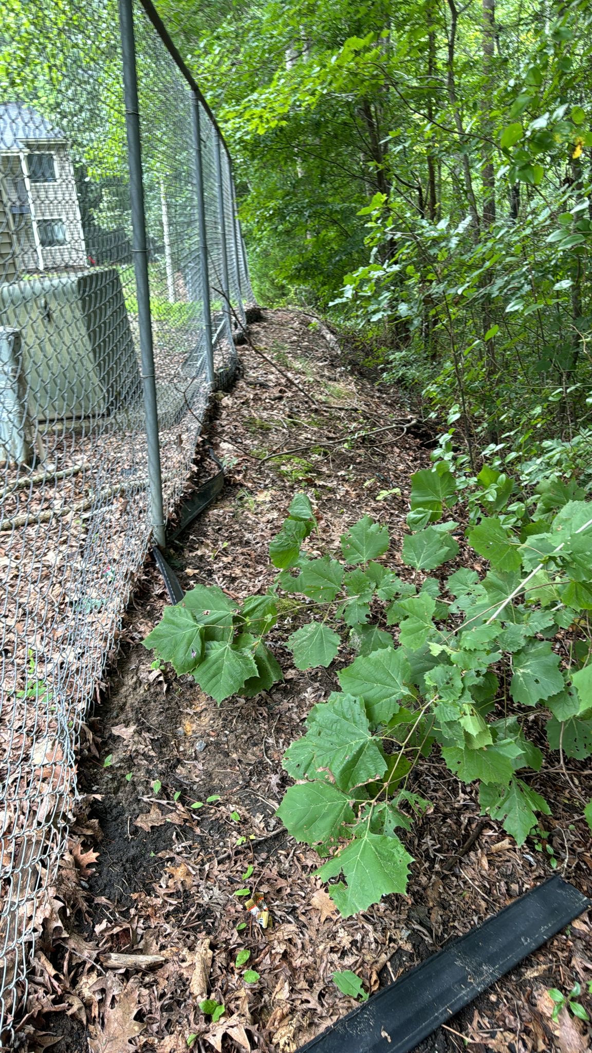 Fence Removal local planning image