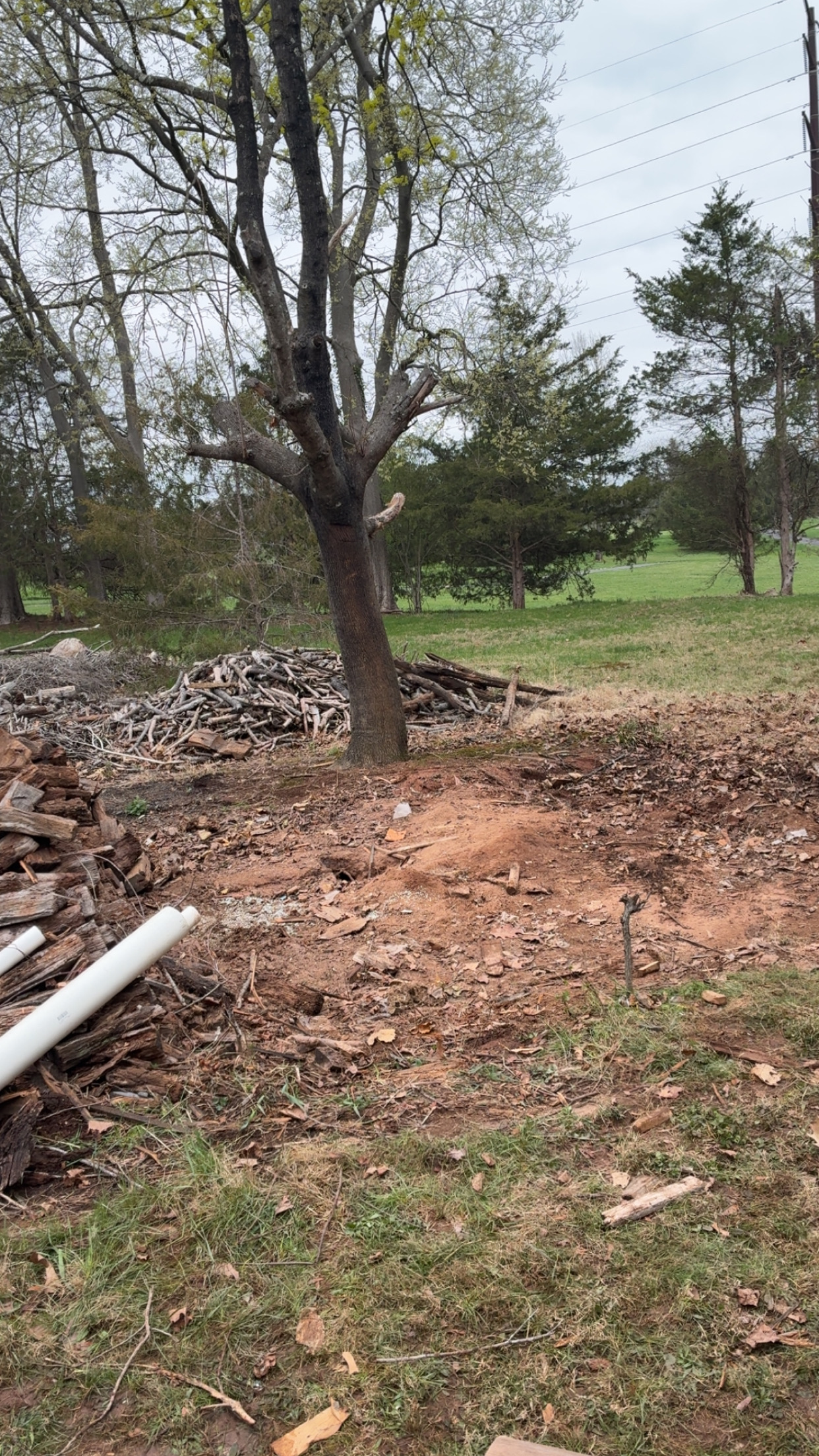 Shed Removal service image