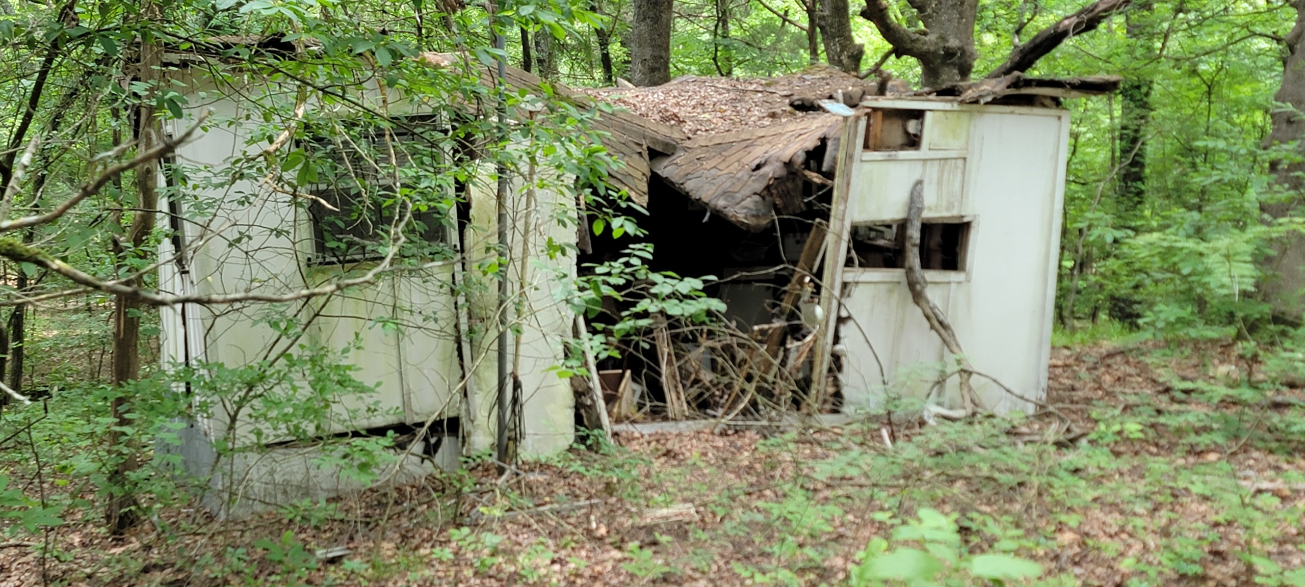 Structure Teardown & Removal hauling image