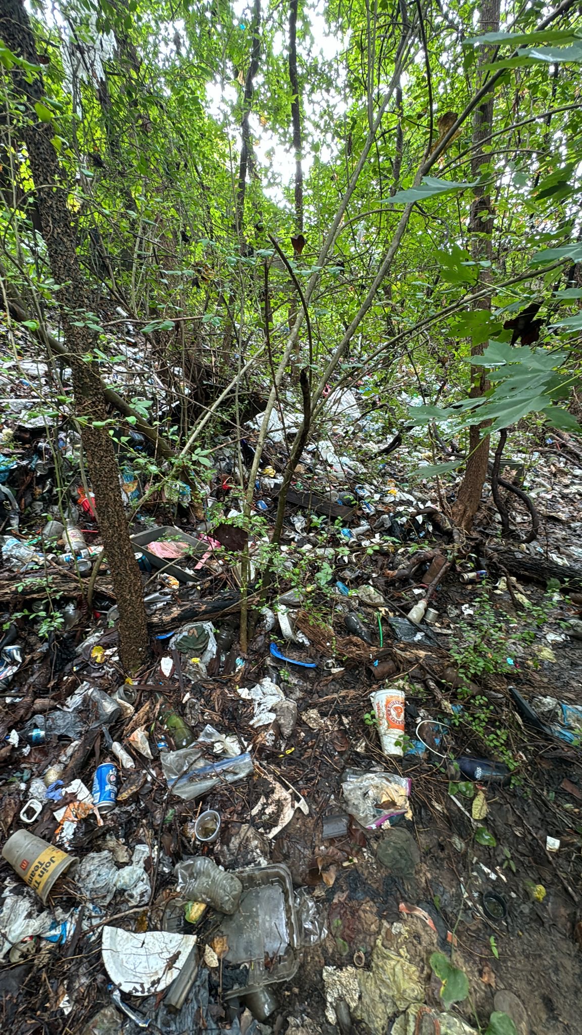 Property Cleanout hauling image